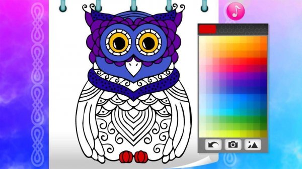 Patterned Owl Coloring Studio