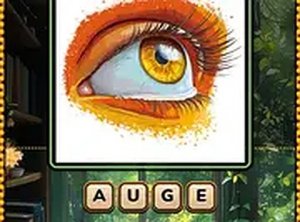 Bilder W&ouml;rter German Vocabulary Puzzle Game