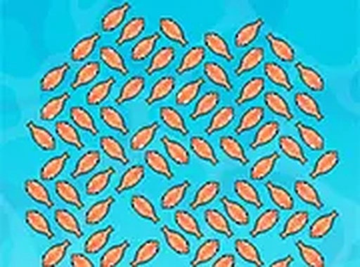 Save Seafood Puzzle Game
