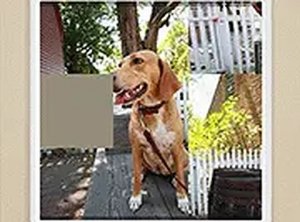 Picture Slide Puzzle Game