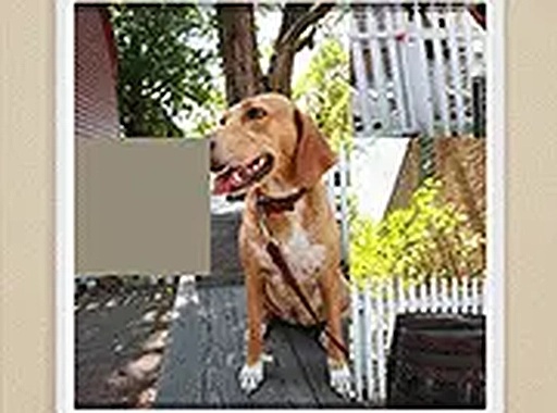 Picture Slide Puzzle Game