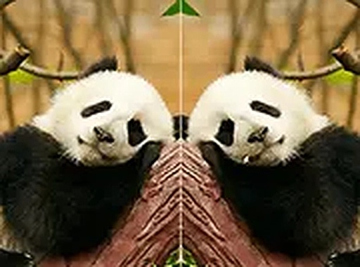 Animal Differences Online Puzzle Game