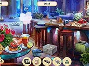 Private Party Hidden Object Puzzle Game
