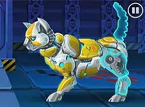 Feline Build & Platform Quest