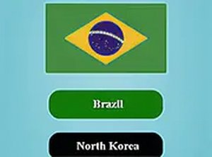 World Flags Trivia Quiz Game