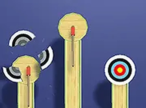 Precision Toss Champion