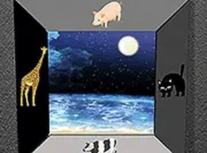 Pink Moon Escape Game